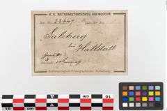Etikett zu Bronzearmreif (NHMW-PRAE-023647)